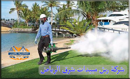 شركة رش مبيدات شرق الرياض